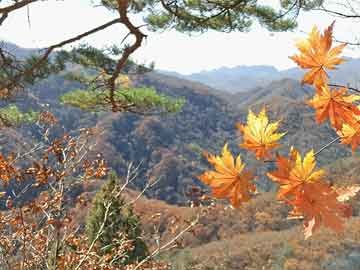 3分钟教程“微乐河北麻将真的有挂吗”原来确实是有挂