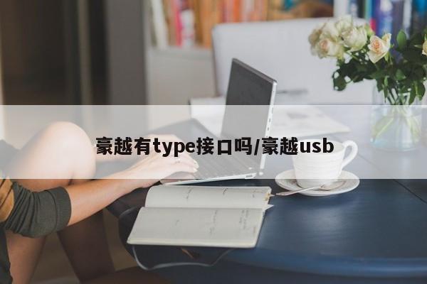 豪越有type接口吗/豪越usb