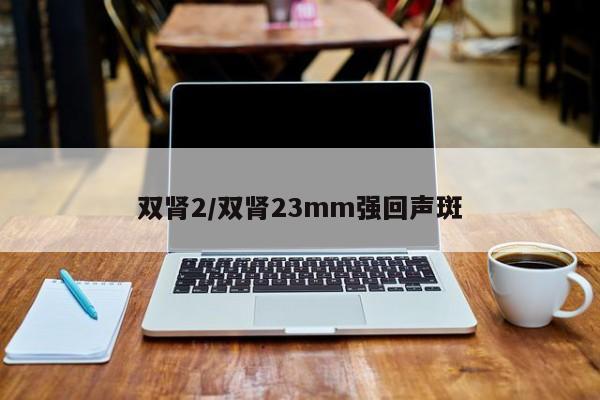 双肾2/双肾23mm强回声斑