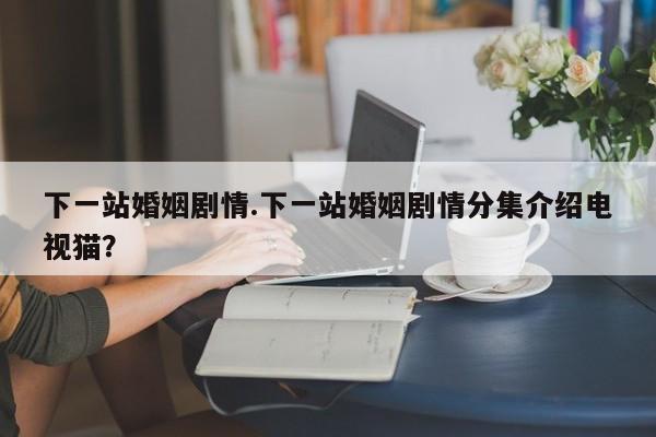 下一站婚姻剧情.下一站婚姻剧情分集介绍电视猫？